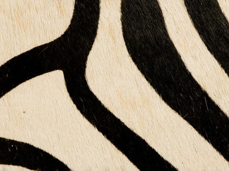 Kravet Couture Fabric L-COVETED.81 Painted Zebra Natural