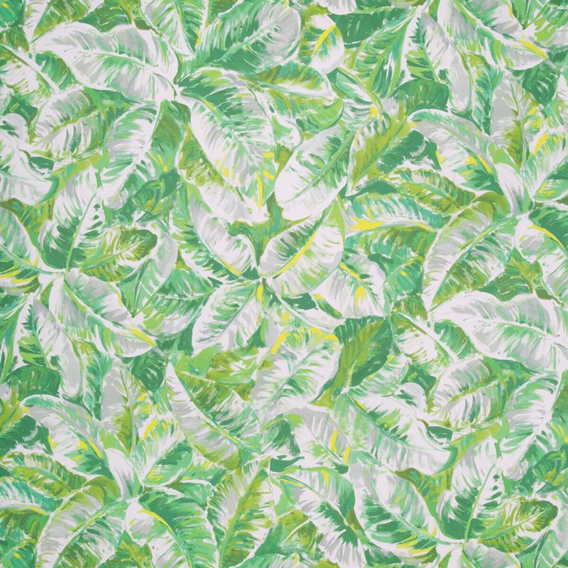 Brunschwig & Fils Wallpaper P8022109.3 Diani Leaf