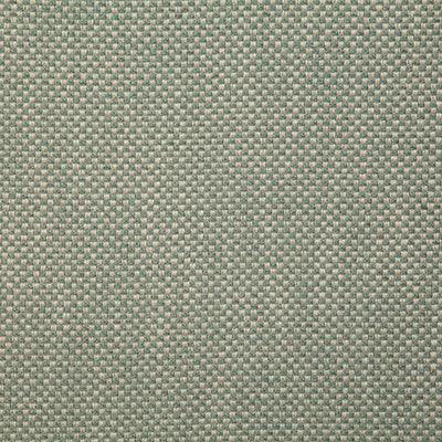 Pindler Fabric PLA021-BL01 Plaza Fern