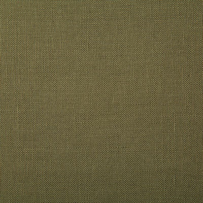 Pindler Fabric PRI036-GR01 Princeton Moss