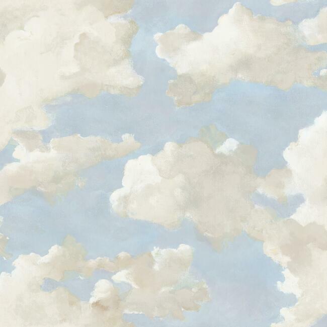 York Wallpaper PSW1079RL Clouds on Canvas