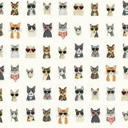 York Wallpaper PSW1463RL Cool Cats