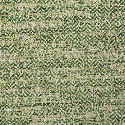 Pindler Fabric ROB016-GR05 Roberts Leaf