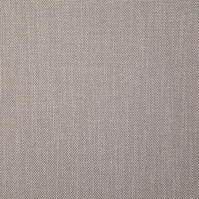 Pindler Fabric ROS058-GY26 Rosario Putty