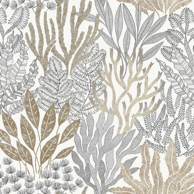 York RT7802 Taupe & Black Coral Leaves Wallpaper