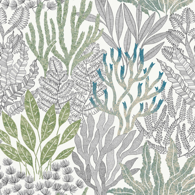 York RT7803 Blue & Green Coral Leaves Wallpaper