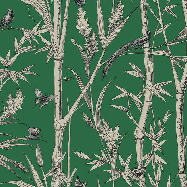 York RT7831 Green Bambou Toile Wallpaper