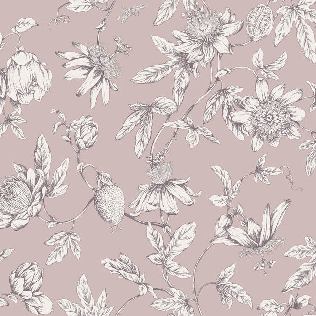 York RT7851 Orchid Passion Flower Toile Wallpaper