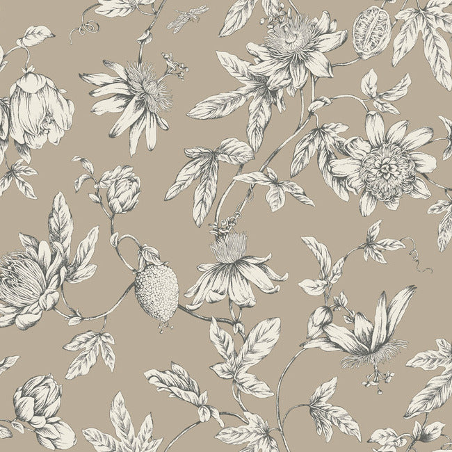 York RT7852 Linen Passion Flower Toile Wallpaper