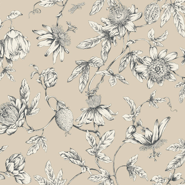 York RT7854 Beige Passion Flower Toile Wallpaper
