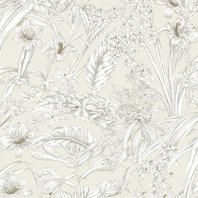 York RT7883 Beige & Taupe Orchid Conservatory Toile Wallpaper