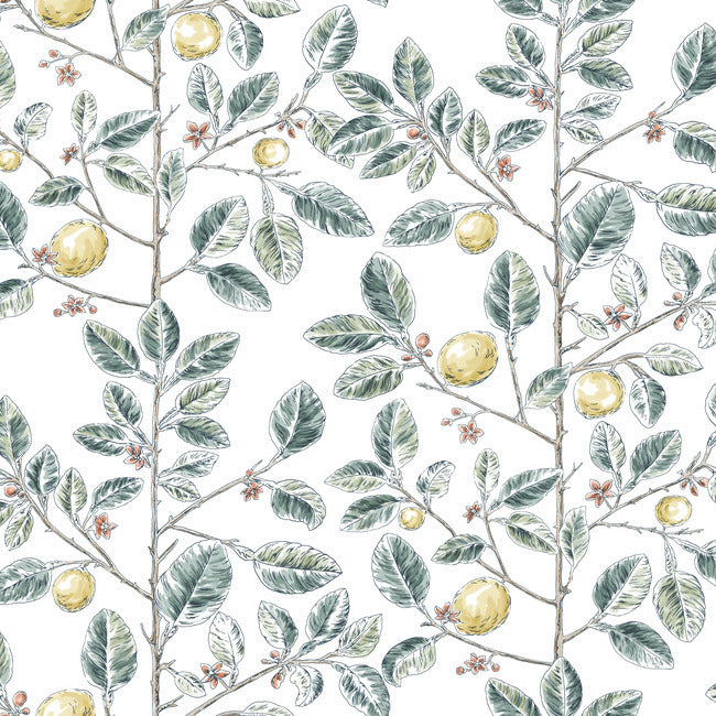 York RT7914 Forest Limoncello Toile Wallpaper