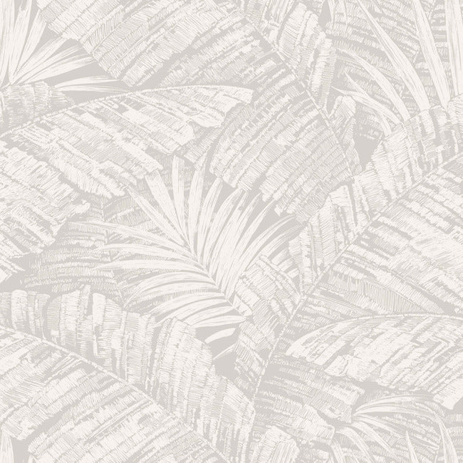 York RT7922 White & Grey Palm Cove Toile Wallpaper