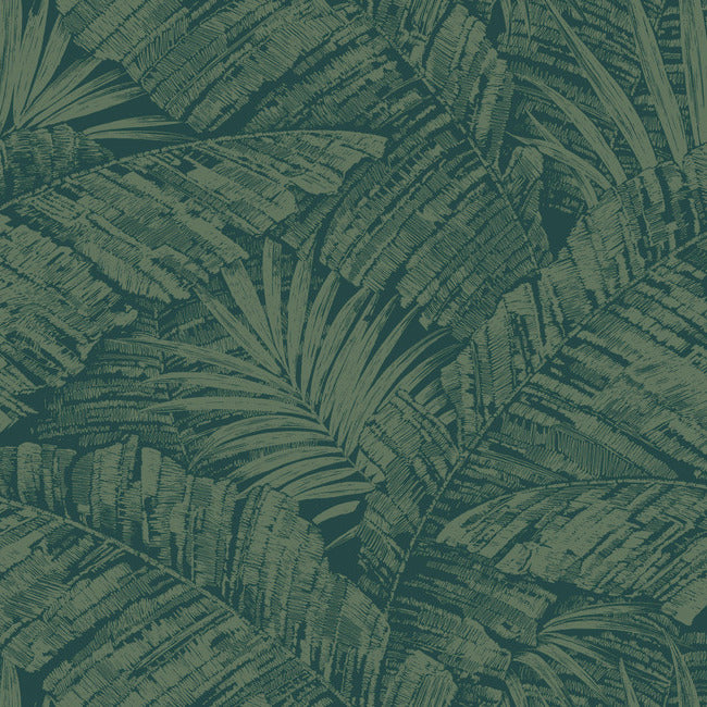 York RT7924 Emerald Forest Palm Cove Toile Wallpaper