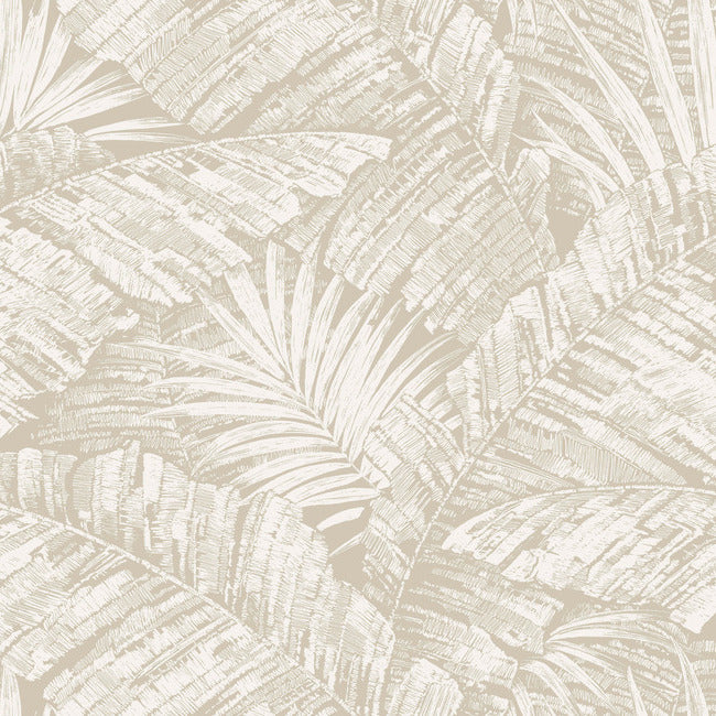 York RT7926 White & Taupe Palm Cove Toile Wallpaper