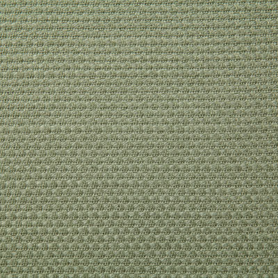 Pindler Fabric RUT009-GR01 Ruth Sage