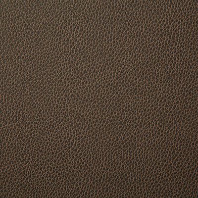 Pindler Fabric SAN055-BR01 Sanders Latte