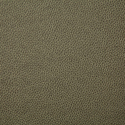 Pindler Fabric SAN055-GR05 Sanders Leaf