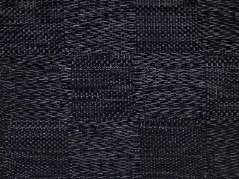 Scalamandre Fabric SK 00016831 Dales Checkerboard Horsehair Black