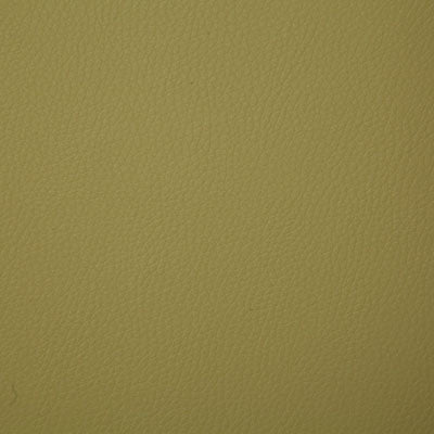 Pindler Fabric SUL014-GR05 Sullivan Leaf