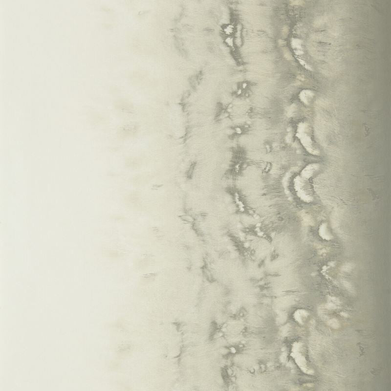 Clarke and Clarke Wallpaper W0149-2 Disperse Pearl Wp