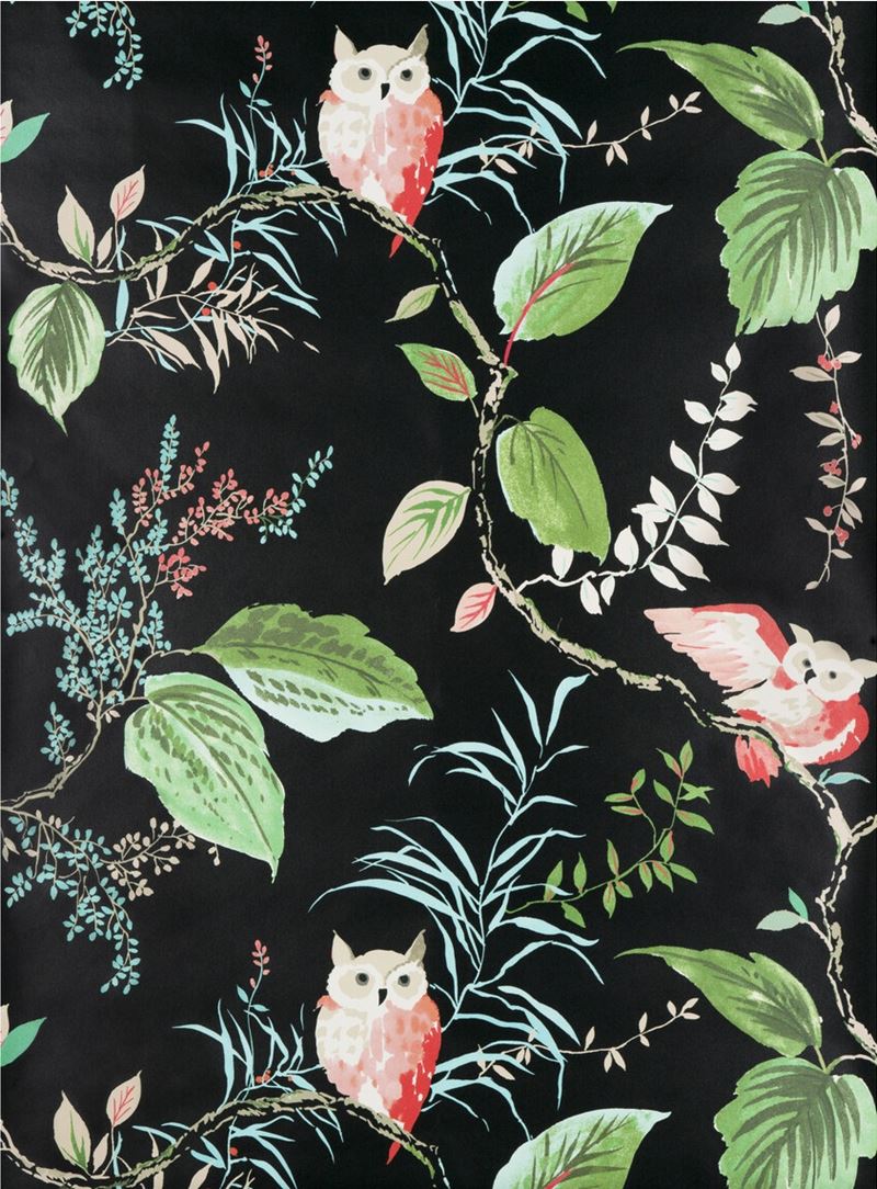 Kravet Design Wallpaper W3331.819 Owlish Black