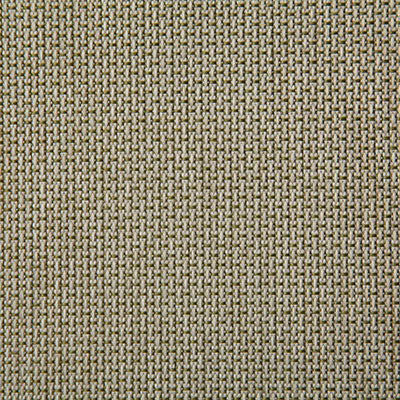 Pindler Fabric WAT023-GR01 Waterside Leaf